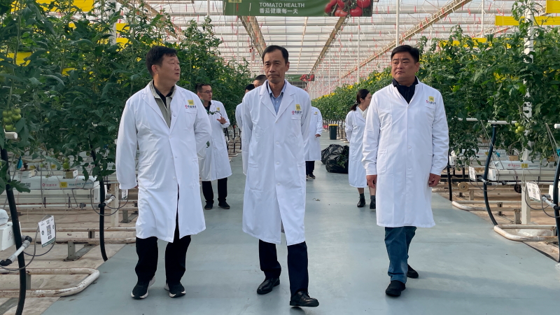 工控金泰 集團(tuán)公司黨委委員、副總經(jīng)理邵小虎一行到進(jìn)賢農(nóng)發(fā)智慧農(nóng)業(yè)項(xiàng)目考察交流1.jpg